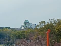次はやっぱり『大阪城』。見るだけでエエらしいので、JR環状線に乗って『車窓観光』。