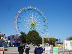 鹿島神宮の後は、国営ひたち海浜公園にやって来ました。

とりあえず、どこを目指していいか分からず、ガイドマップを見て吟味してました。