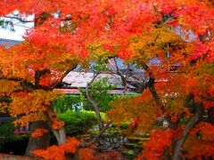 瓢湖からほどなく「五十嵐邸」に到着！！
村松公園と同じくここの椛は真っ盛り！