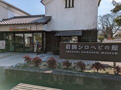 シロヘビの館に入りました。

数匹のシロヘビがいて、以外と可愛かった。