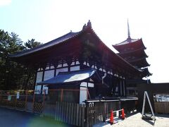 国宝の興福寺東金堂と五重塔
　東金堂は閉堂につき現在拝観できません。