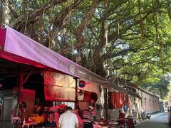 3日目、本日の朝ごはんは大稲埕慈聖宮廟口でいただきます
朝粥の名店「葉家肉粥」を筆頭に数店舗が並んでいます
お寺の境内の中のガジュマルの木の下で食べられます