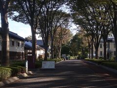 続いて到着したのは、彼岸花目当てに府中市郷土の森博物館。
入口で係の人から、もう終わりかけと教えてもらい、期待しないで向かいました。