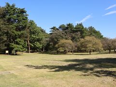 到着したのは彼岸花目当ての野川公園自然観察園。
