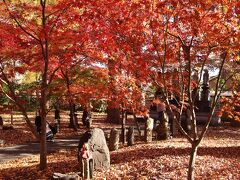 山門を入ると、思った以上にすばらしい紅葉で、