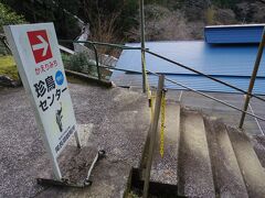 更に下ったところに「珍鳥センター」の看板があります。