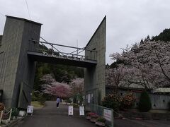 線路沿いの幹線道路を和歌山方面に少し歩き、桜の名所として知られる公園「わんぱく王国」に到着。