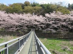 沼尾川の親水公園へ車で移動です。広々としていて散策にちょうどいいです。