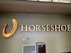 ラスベガスのホテルはホースシュー。
ベラージオやフラミンゴのすぐ近くなのに、リーズナブルで部屋も十分。
目の前の歩道橋が修理中で利用できなかったけれど、利用できればベラージオもフラミンゴもこの橋で行ける。

ちなみに、2部屋予約した部屋が１部屋しか取れていないというトラブルに見舞われるが、バウチャーもあるし何とか手配してもらった。危ない。
