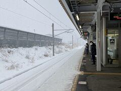 新青森は雪