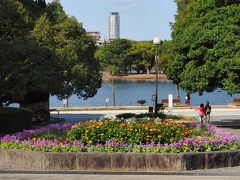 下城して大濠公園へ。春に向けて花壇もきれいに。