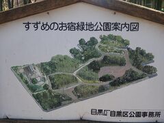 すずめのお宿緑地公園（竹林　ケヤキなどの大木が残り、野鳥も生育しています。２００年前より昭和の初期までこの辺りは有数の竹林で「目黒のたけのこ」として有名だったそうです。（目黒のサンマも有名です。）
以前は大沢のスズメがここに住んでいました。