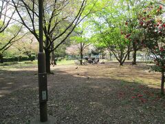 和田堀公園遊具場　善福寺川の沿った面積20ha の都立公園です。野球場、陸上競技場、テニスコート、バーベキュー広場、サイクリング広場、遊具場、池、治水のための調整池、竪穴式住居の模型等が配置されています