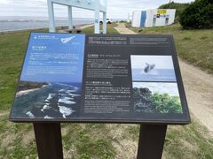 屋子母海岸。綺麗な海岸です。