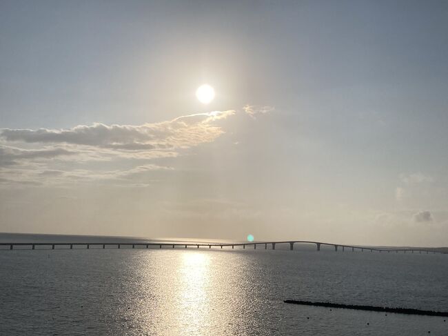 この季節は曇り空の多い沖縄、運良く晴れてくれて良かったです。