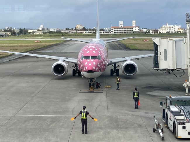 さくらジンベイジェットで那覇乗り継ぎでセントレアへ。