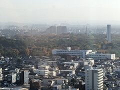 右側のノッポ（60メートル）の塔が平和塔で、

大仙公園の中央辺りにあります。

大仙公園は仁徳天皇陵古墳と履中天皇陵古墳の周辺にあり、
博物館、図書館茶室、日本庭園、植物園などを併せ持つ
堺市のシンボル公園です。