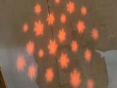 お洒落な共同トイレが