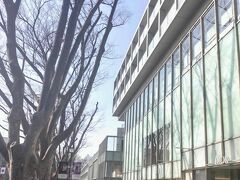 その後は表参道のあたりをプラプラ。