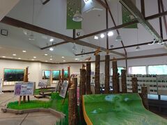 見学します。こちらは動植物メインの展示。