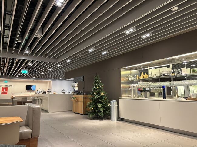 カウンターの女性から「Fクラス専用ラウンジ楽しんでって！」と場所を教えられたものの、丁重に「この区間はYだから」と門前払い。何もかもうまくいくわけではありません。