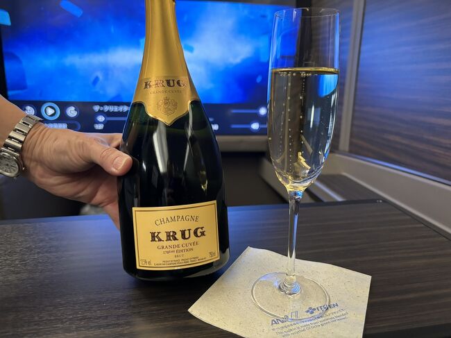 一生一度だと思っていたのに、再会です。二度目の人生が始まった事にします。