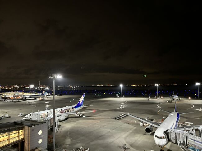 事故の影響で全社で欠航が相次いでいました。自分もスタフラとのコードシェアにつき１タミで搭乗を待っていたら「欠航」表示に気付き、別便に振り替え一旦保安検査を逆流し２タミに移動です。