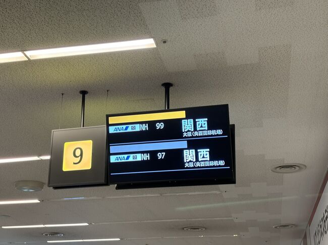 遅延が繰り返されラウンジから殆ど人影が無くなった頃、とうとう欠航が言い渡されました。預けた荷物を再び回収です。「本当に申し訳ありません」と何度もお詫びになるので「普段通れないルートで逆流できて興味深いです」と応答。そもそも別に誰も悪くありません。