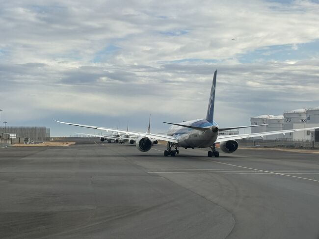 大幅に遅れてついに羽田を発ちます。前日にどさんこプラザで買ったお土産はすっかりドライアイスが溶けてしまい、事情を伝えて新しいのをもらいました。店員さんが「大変でしたね…今日は飛びそうですか？お気をつけて！」と笑顔で送り出してくれました。誰かを罵るより誰かに感謝。色々あった2024初旅でしたが、今年も大空へ。