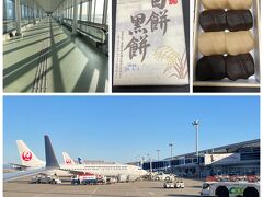 中部国際空港セントレア