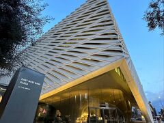 まずは美術館「The Broad」へ
期間限定で草間彌生さんの展示があるとのことで、事前にチケットを手配してました。今回の旅行は娘がいろいろと手配してくれて、わたしはついて行っただけ～みたいな部分が多かったです。
https://www.thebroad.org/