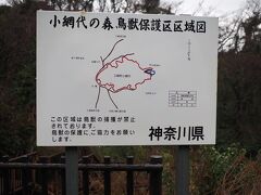 雨が止む気配がないので小網代の森へ。

https://miura-info.ne.jp/sightseeing/nature-1/