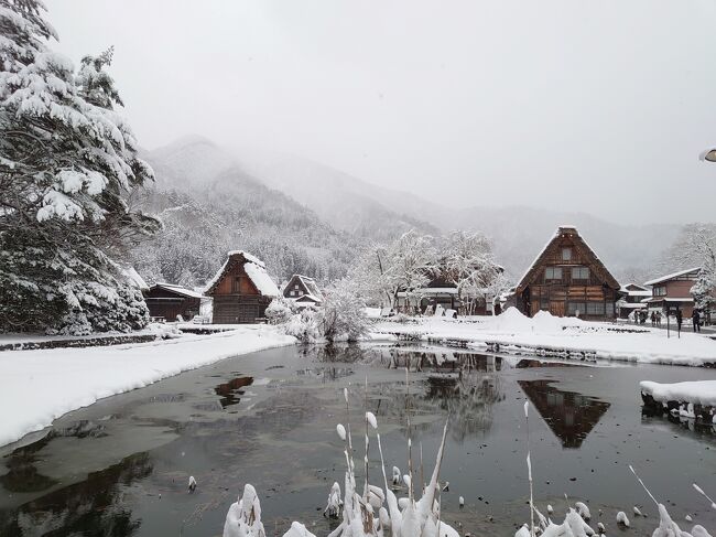 雪昏れて…飛騨白川郷にて 白川郷 ⚠️2月4日からの大雪にご注意ください⚠️ . 2月4日から