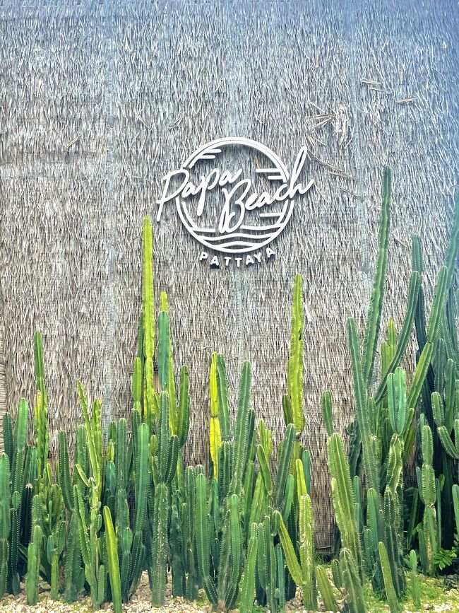 <br />パタヤって、一昔前は男性が夜遊びしにくる場所ってイメージが強かったけど<br /><br />今は女子ウケ狙いのお店がたくさんできてます　<br /><br /><br />言うても夜の歓楽街は、世界中のおじ様が大量発生