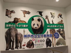 定刻で神戸空港に到着

ここに来るといつも撮るタンタン