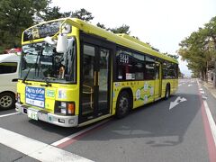 バスで奈良公園へ行きます。乗客の大半が西洋系インバウンドでした。韓国人も少しいました。