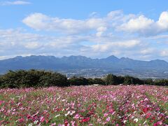 この日は鼻高展望花の丘へコスモスを見に行きました。
丘の上からコスモスと榛名山がきれいに見えました。