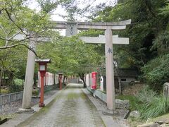 境内にある長門豊川稲荷。神仏習合が今に残る場所である。豊川稲荷が鎮座されたのは明治の神仏分離令以前ではなく昭和36年のことである。
山口の阿部家に伝わり、のちに白藤董氏秘蔵の叱枳尼真天（だきにしんてん）という御神体が大寧寺に送られたことによる。
叱枳尼真天は稲荷のご神体。白いキツネに乗って空を走り仏道を守るそうである。
さらに大寧寺と妙厳寺豊川稲荷とは深い関係がある。
幕末の文久３年七卿落ちで勤皇派の公家が長州に逃れてきた。その中の一人三条実美を手厚く保護したのが当寺四十五世簣運泰成（きうんたいじょう）和尚であった。
和尚が妙厳寺に身を寄せていた時、神仏分離令により妙厳寺豊川稲荷がつぶされそうになった。簣運和尚は妙厳寺の住職らと共に明治政府に救済を求めた。
新政府の要人に三条実美や多くの長州人がいたため、豊川稲荷は危機を救われた。
その奇縁から大寧寺に長門豊川稲荷を当寺に向かえることができた。
（大寧寺HPより抜粋）