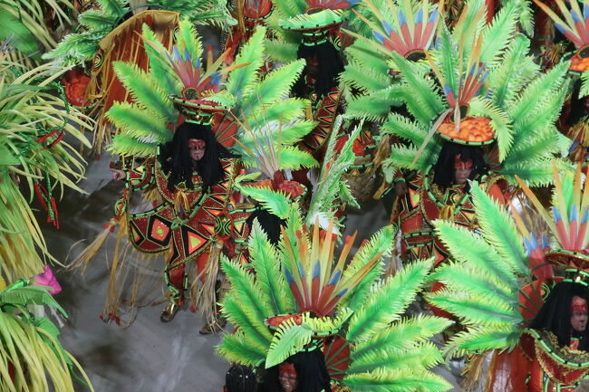 ALAIN DRAEGER Rio fantastic carnival ブラジル リオ