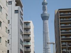 本明寺前からから北を向くとドーンとスカイツリーの全景が。ここがタワービュー通りです。