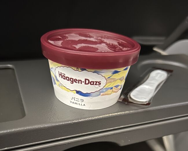 この後にHaagen-Dazs。<br />アイスが大好きなので、うれしい！<br /><br />噂通り、シンガポール航空はサービスの質が高い。丁寧な客室乗務員も好感度が高かったし、とても過ごしやすかったです。