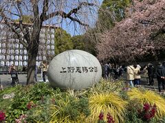 さっそく上野公園へ。
すでに数多くの人が大寒桜の周りに群がっています。