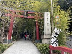 続いて少し坂をのぼり、人気の来宮神社へ。