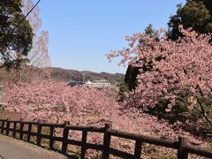 3/11、この日はときがわの桃木農村公園へ。
