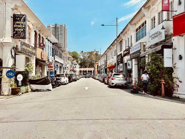 このエリアを抜けて、アルメニアストリートへ。その名の由来は19世紀にアルメニア人が暮らしていたことから来ています。<br />アルメニアストリートはウォールアートの宝庫！<br />おしゃれなカフェもお土産屋さんなども点在しています。