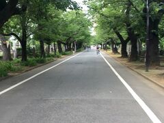 谷中霊園を通る歩道を北上して、日暮里駅に行きました。
そこからJRで南千住駅まで移動して、次の目的地に向かいました。
