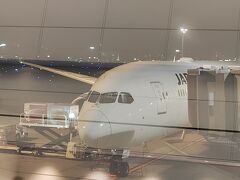 １４５搭乗口待合室からのＪＡＬ３３便＜Ｂ787-9国際線仕様＞の機材です。
アプリ「フライトレーダー24」で調べたところ、機体記号はJA872Jでした。