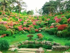 青梅の森から一般道を１時間ほど歩いて塩船観音寺へ。早朝6：57に訪れたところ、GW中だというのに、ほとんど人がいませんでした。