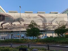 さて鶴仙渓をあとに、JR福井駅に来ました。
往路は反対側の東口から出発したけれど、帰りは恐竜広場周辺で集合時間まで自由行動です。
おっ、駅の壁に浮かび上がった恐竜がデザインされている！
