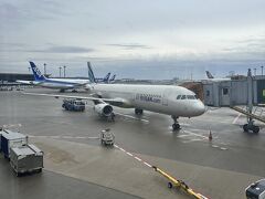 飛行機での移動